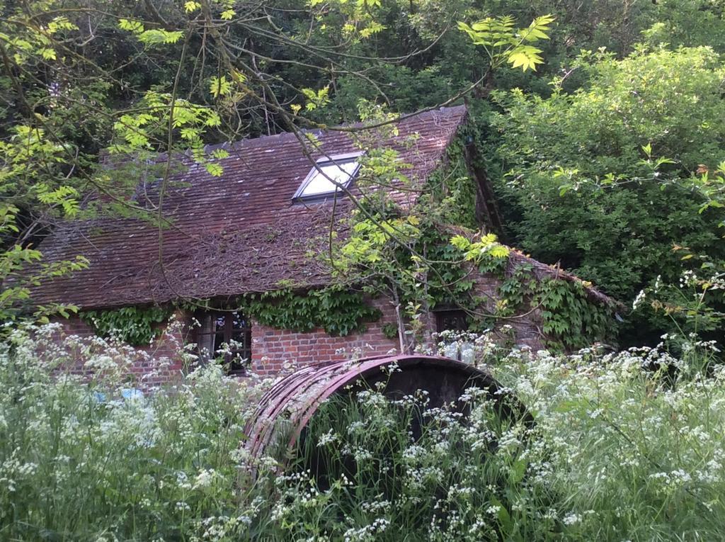 Livarot-Pays-d'Auge La Boursaie Bed & Breakfast エクステリア 写真